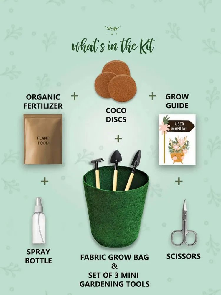 Yard & Earth DIY Gardening Kit | Aiky Store - Home essentials for happy living