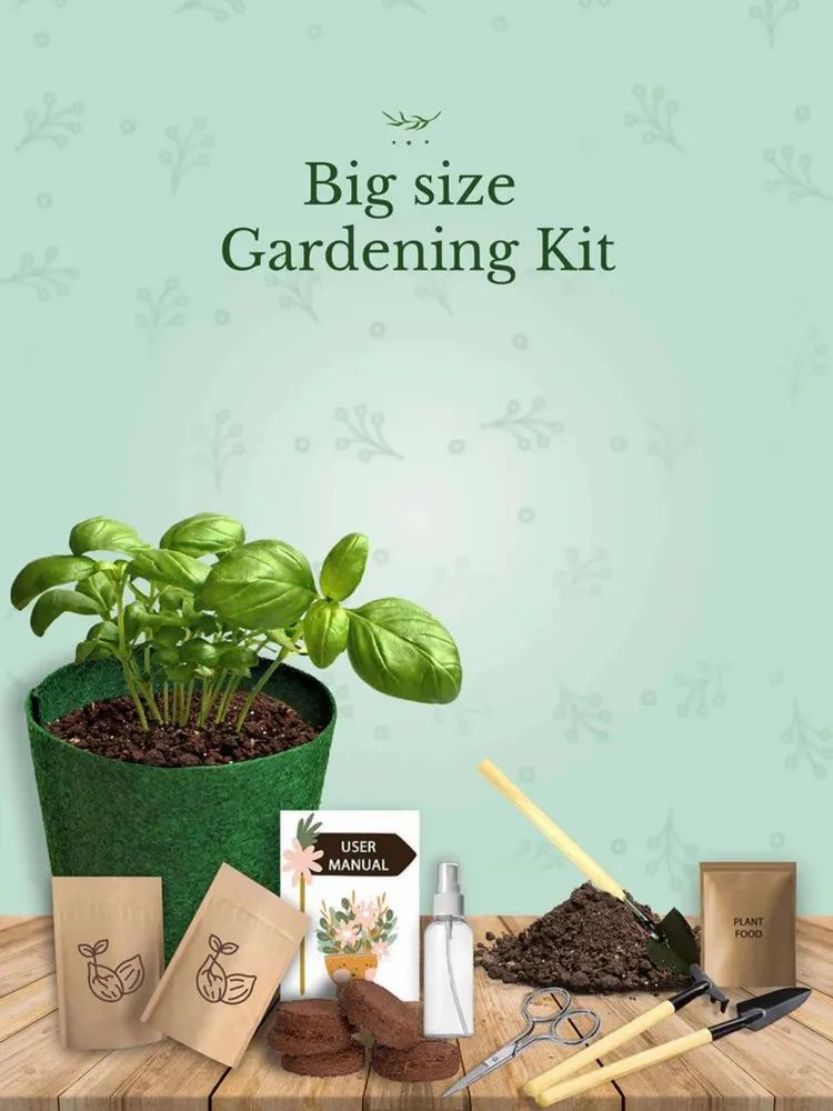 Yard & Earth DIY Gardening Kit | Aiky Store - Home essentials for happy living